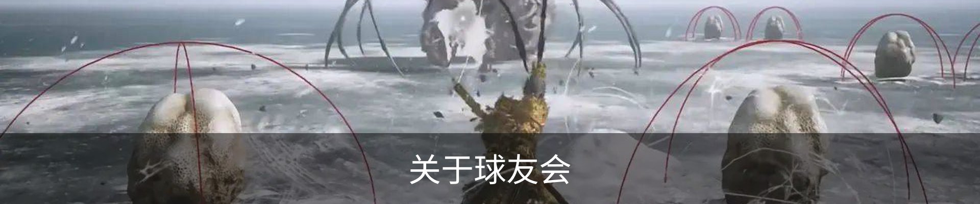 关于球友会